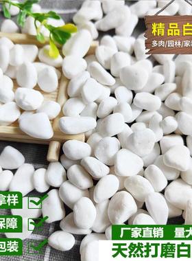 4-20cm白色鹅卵石子 洗米石 园林铺路水族造景用水磨石子