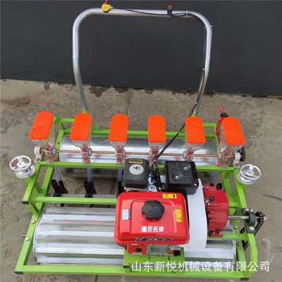 新悦 汽油6行自走香菜播种机 苔菜白菜点播机 大葱育苗精播机