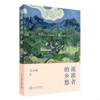 正版发货快流浪者的乡愁 艾小柯 北京大学出版社