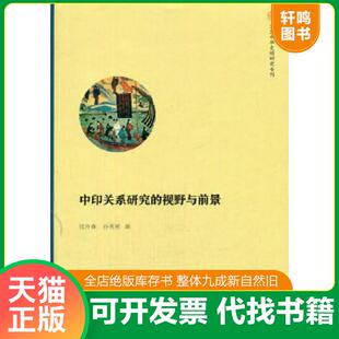 正版速发9787309123234 复旦中华文明研究专刊:中印关系研究的视野与前景 沈丹森,孙英刚主编 复旦大学出版社