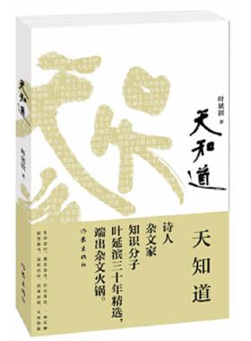 正版速发9787506372121 天知道 叶延滨著 作家出版社