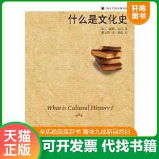 正版速发9787301157893 什么是文化史：历史学的实践丛书 (英)彼得·伯克 北京大学出版社
