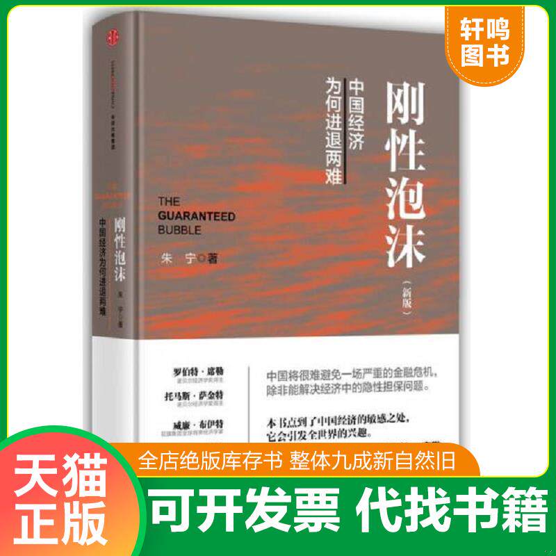 正版发货快刚性泡沫（新版）【现货 塑封 保正】 9787508660356 朱宁 中信出版社
