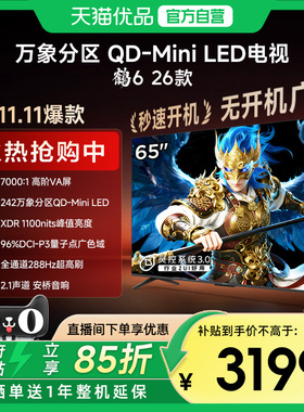 雷鸟鹤6 26款 65英寸MiniLED分区4K 288Hz超高刷平板电视机65R69A