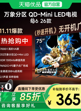 雷鸟鹤6 26款 75英寸MiniLED分区4K 288Hz超高刷平板电视机75R69A