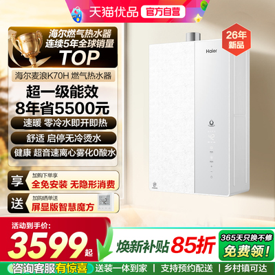 海尔无冷凝水一级能效16升K70H