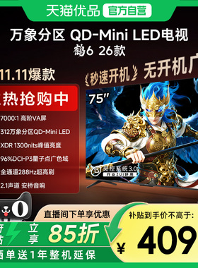 雷鸟鹤6 26款 75英寸MiniLED分区4K 288Hz超高刷平板电视机75R69A