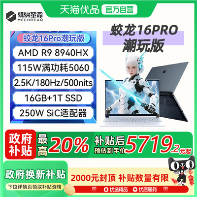 机械革命 蛟龙16Pro 潮玩版锐龙9 8940HX 16英寸RTX5060笔记本电脑游戏本电竞本学生官方旗舰