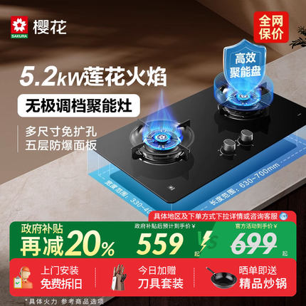 [政府补贴]樱花B9210/TGE03不锈钢燃气灶煤气灶双灶家用天然液化