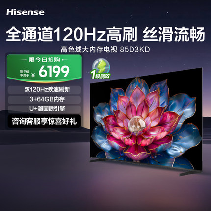 海信电视 85D3KD 一级能效 85英寸 120Hz高刷 U+引擎观影巨幕电视