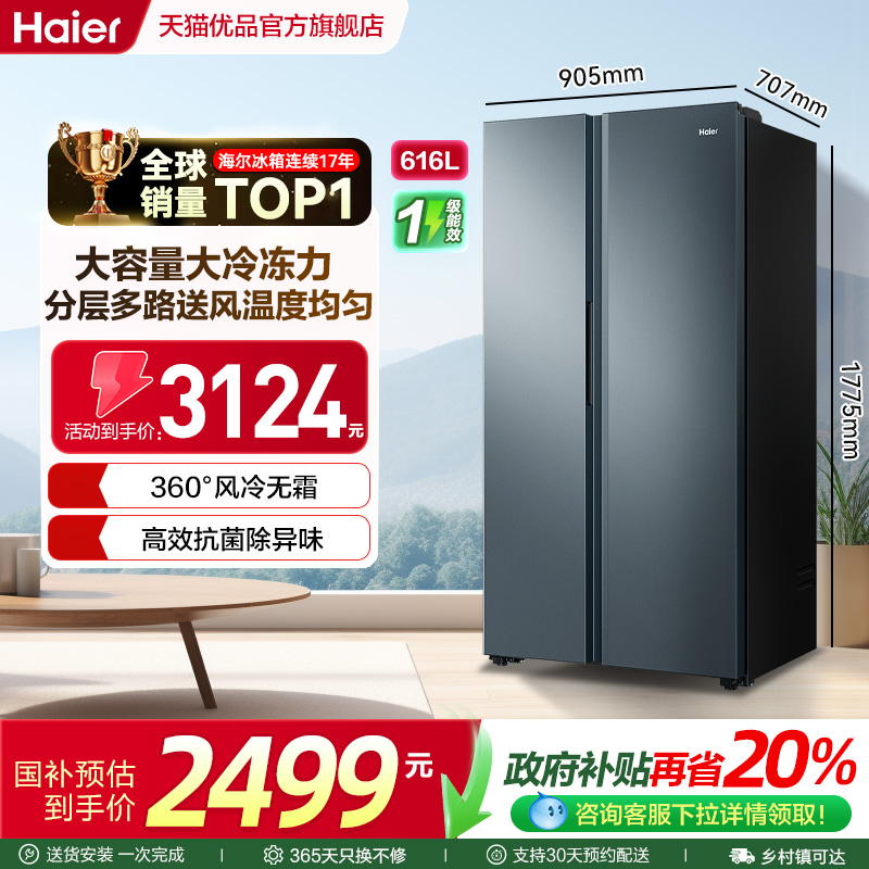 政府补贴海尔616L一级能效大容量