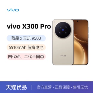 X300 vivo Pro 大电池大容量天玑旗舰芯片vivo旗舰拍照手机vivo x200s 政府补贴15% x300pro 下拉选豪礼