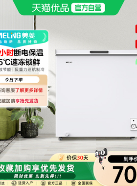 美菱201L一级小型冷柜冷冻柜租房家用商用冰柜小冰箱BC/BD-201DT