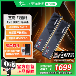 C28时序AMD 2套装 EXPO 16G 芝奇烈焰枪DDR5内存条6000