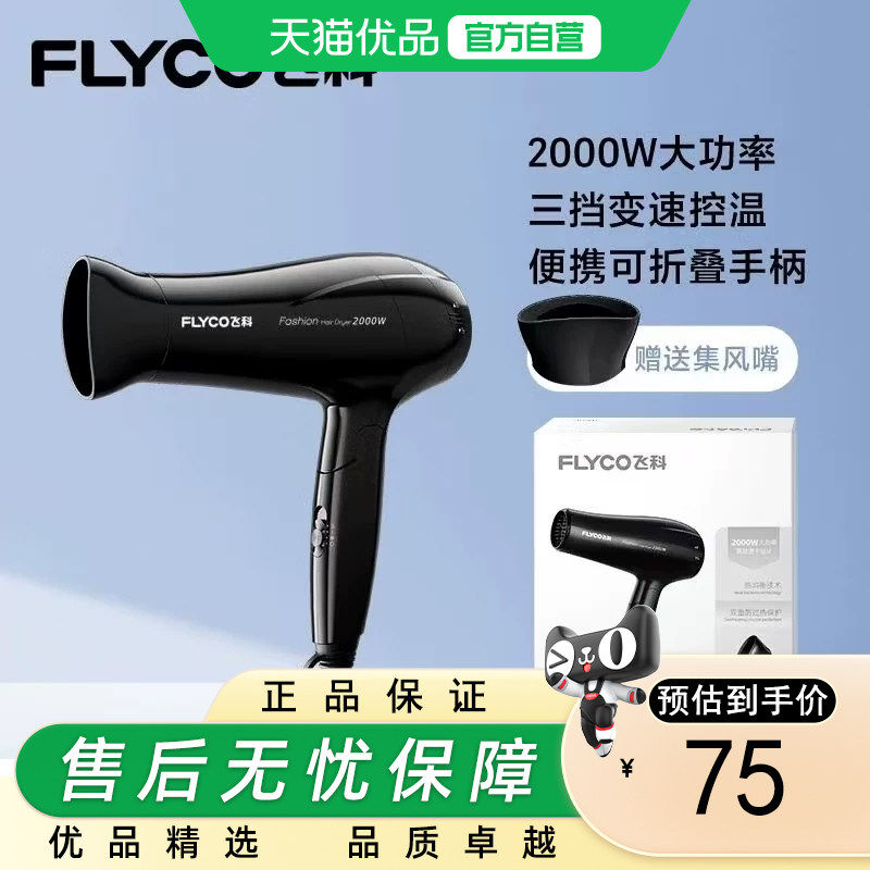 Flyco/飞科飞科电吹风机家用大功率速干负离子护发冷热风FH6290
