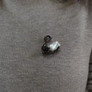 半觉黑白天鹅胸针