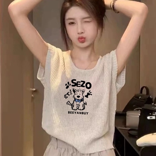 宽松洋气减龄百搭欧货小衫 冰丝针织衫 2026新款 女夏季 小众上衣 短袖