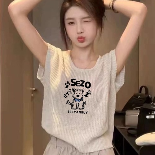 冰丝针织衫短袖女夏季2026新款宽松洋气减龄百搭欧货小衫小众上衣