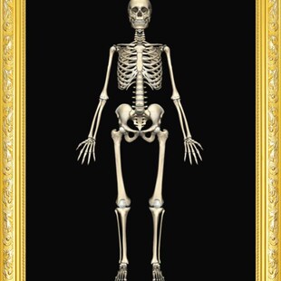 极速戒色贴纸戒色不干胶戒色方法白骨观不净观P图白骨禅观想图挂