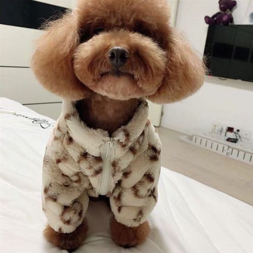 极速狗狗衣服秋冬雪纳瑞法w斗比熊泰迪中小型犬猫咪烟熏皮草外套