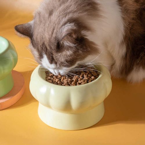 极速陶瓷猫碗奶呼呼蘑菇猫咪水碗粮碗狗碗高脚保护颈椎Y釉下彩简