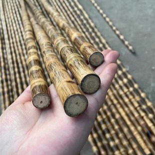极速龙血实心金丝竹苗罗汉竹手工打磨G竹棍教鞭杆登山杖手杖拐武