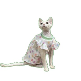 极速无毛猫衣服夏l天薄款 公主裙透气柔软斯芬克斯德文 可爱小飞袖