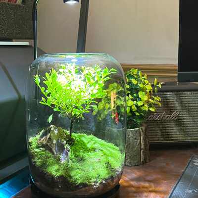 新品桌面微景观摆件办公室电脑桌工位解J压装饰品送朋友情绪稳定