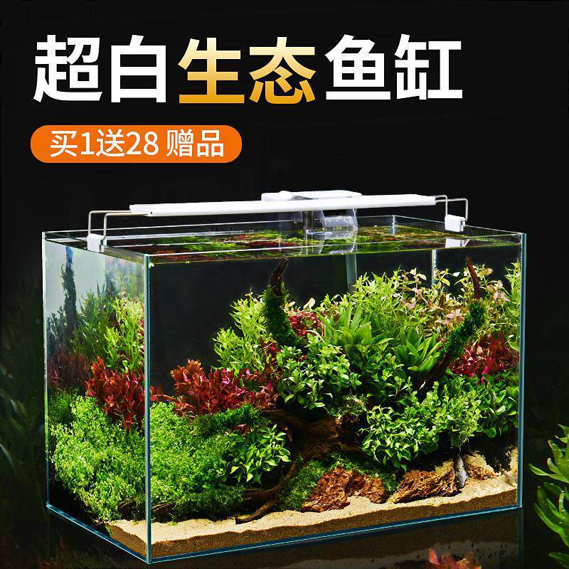 新品斗鱼鱼缸超白玻璃q桌面客厅小型金鱼乌龟缸造景懒人养鱼水草