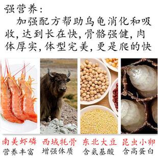 新品中大乌龟粮食通用通吃型水龟陆龟半水龟高钙T螺旋藻不浑水乌