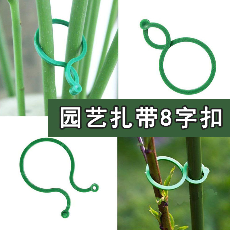 新品园艺8字扣塑k料夹子爬藤植物固定扣蝴蝶兰交叉八字扣植物捆绑