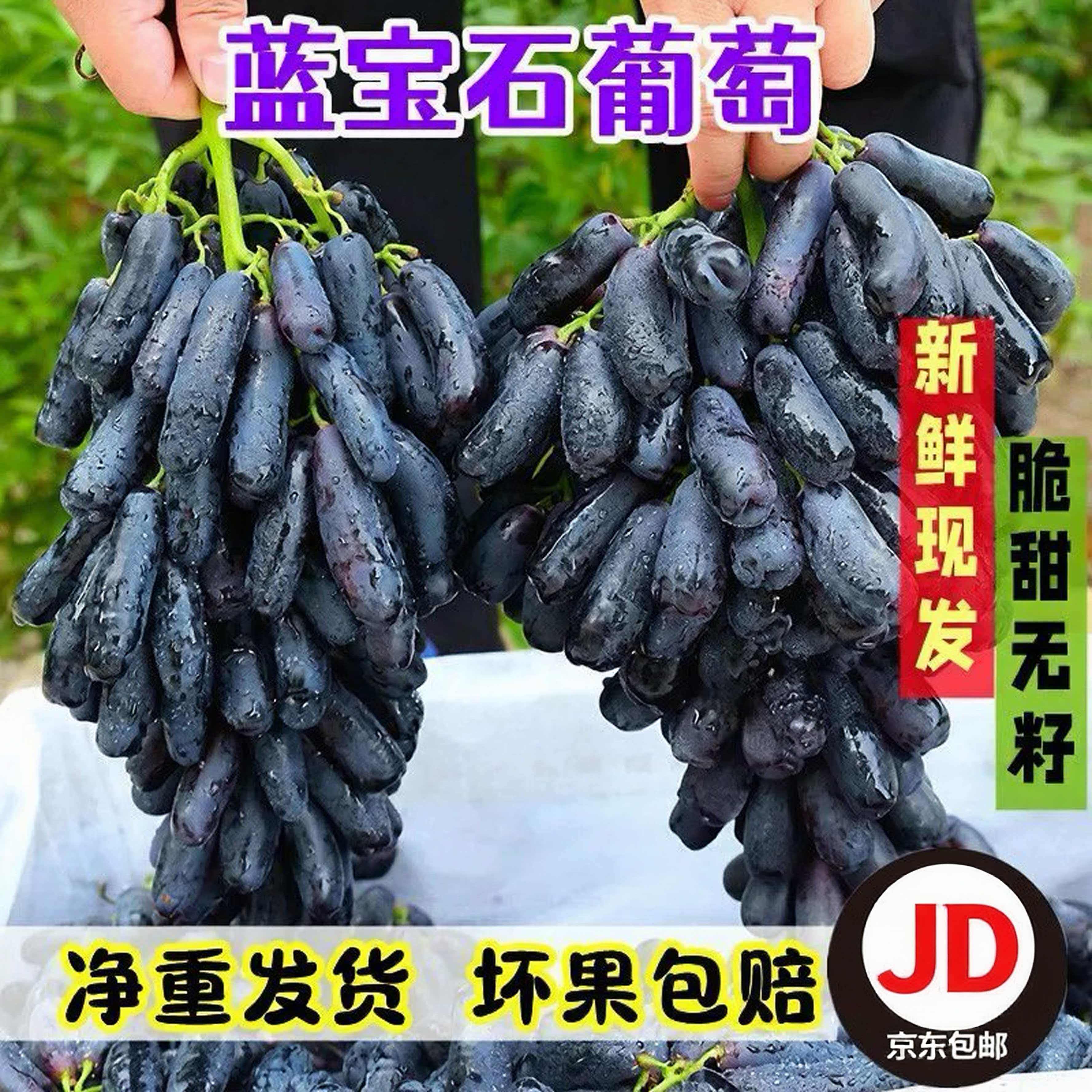 东北蓝宝石葡萄新鲜无籽美人指提子金手指黑提当季孕妇水果整箱