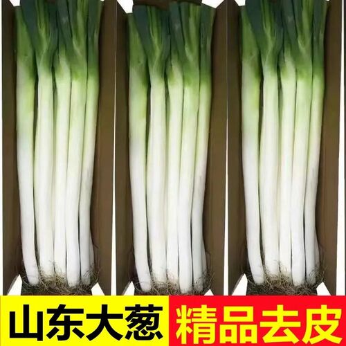 精品山东正宗大葱新鲜农家蔬菜去老皮去半叶现发现挖批发整箱包邮