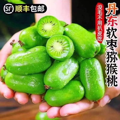【顺丰包邮】丹东软枣猕猴桃奇异果奇异莓无毛猕猴桃新鲜水果包邮