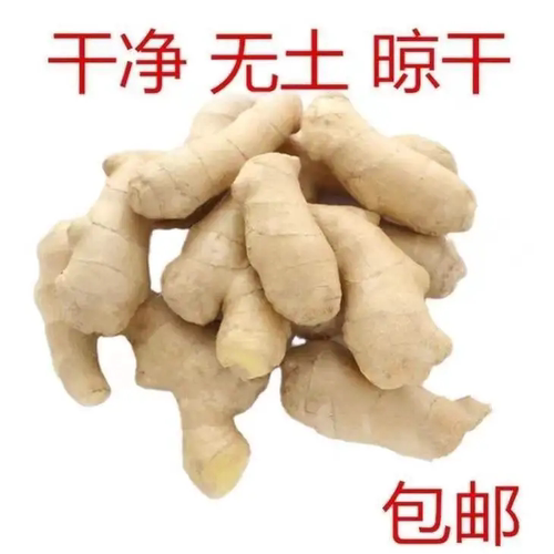 山东精选水洗风干大姜黄月