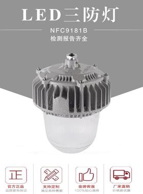 厂家热销led三防平台灯70W80W100W防眩泛光灯2.5米立杆防水防尘灯