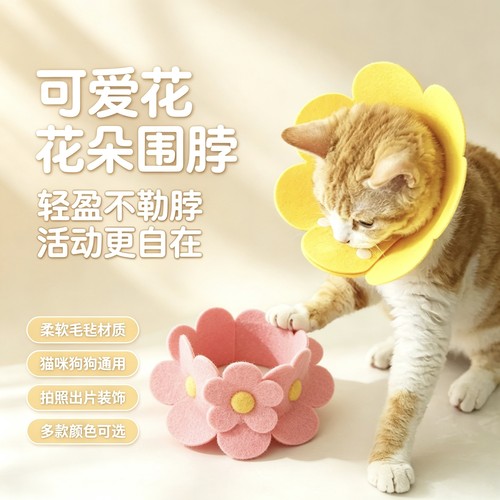 伊丽莎白圈猫咪绝育项圈伊利沙白圈防舔颈圈头套狗狗脖圈宠物用品