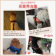 背心式 狗狗牵引绳防爆冲大中型犬金毛拉布拉多大狗链遛狗绳胸背带