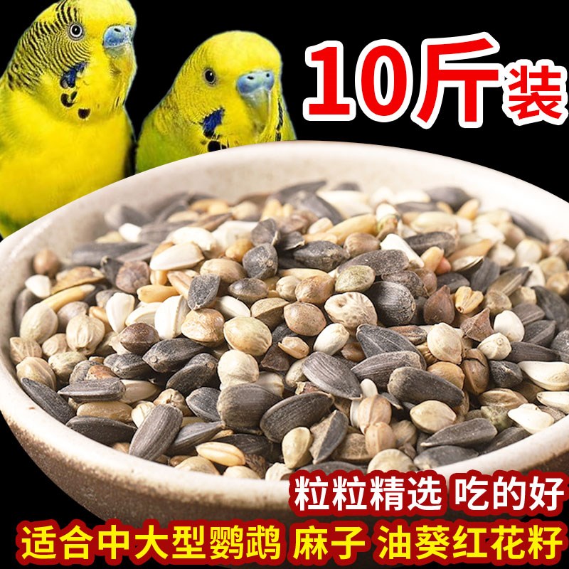 牡丹玄凤中大型鹦鹉混合粮麻子油葵黑瓜子红花籽带壳谷物鸟食饲料