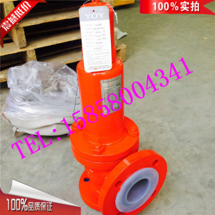 安全阀 A42YF46 DN25铸钢弹簧全启封闭式 DN20 氯气衬氟安全阀 16C