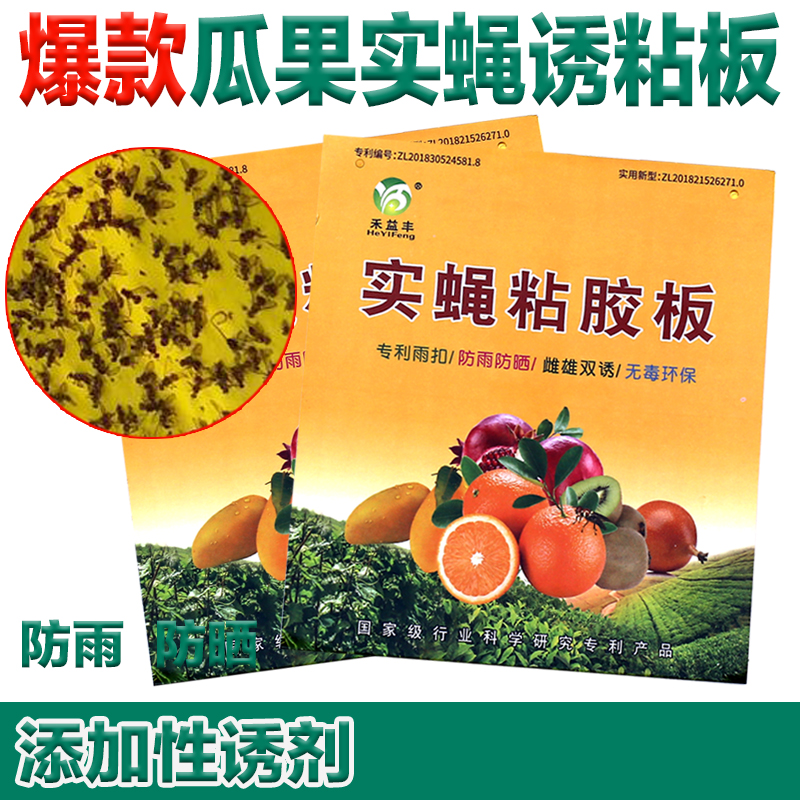瓜果实蝇粘胶板粘虫板诱蝇贴针蜂黏果蝇诱粘板防虫灭虫纸粘苍蝇蚊