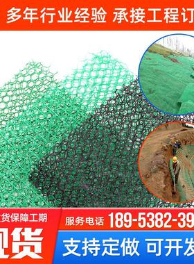 护坡绿化使用三维立体护坡植被网 双层三层绿色EM2EM3三维植被网