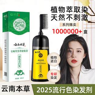 云南本草染发剂泡泡染发剂不伤头皮染发梳护染膏遮盖白发旗舰