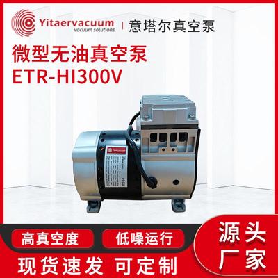 厂家供应微型无油真空泵ETR微型泵精密真空泵真空机组现货