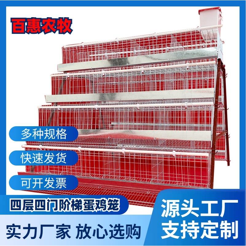 养殖场用四层四门铁槽蛋鸡笼设备热镀锌多层阶梯式笼养鸡设备厂家