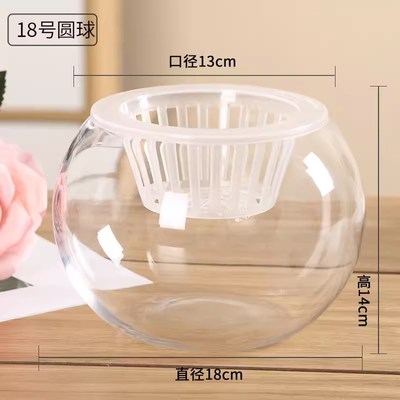 创意水培瓶植物透明玻璃花瓶容器绿萝花盆鱼花共养缸水养摆件器皿