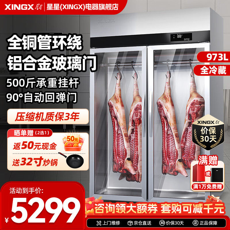 星星冷柜展示柜冷藏保鲜柜挂肉柜商用冷藏柜冰柜全铜制冷