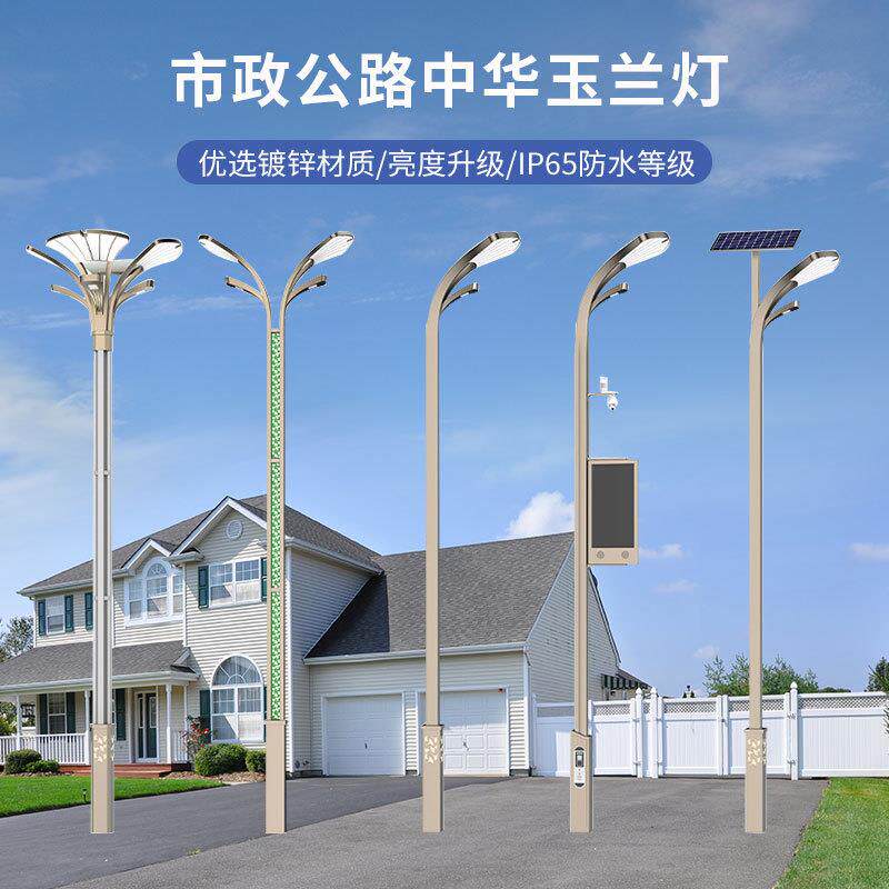 6米10米中华玉兰灯市政公路广场高杆路灯室外装饰组合LED玉兰灯