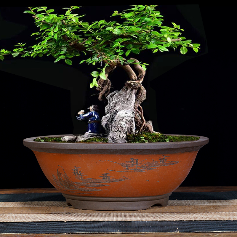 紫砂花盆特大盆景盆陶瓷花盆多肉植物花卉盆栽室内黄杨迎客松花盆