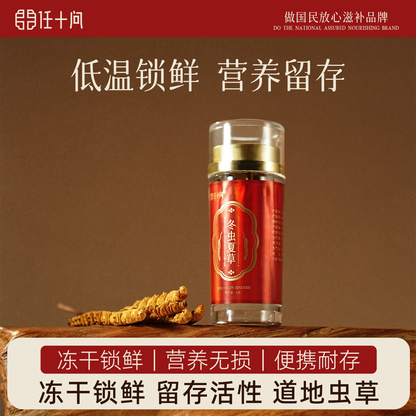 任十问冬虫夏草1g瓶便携装道地虫草西藏高品质营养留存营养中药材